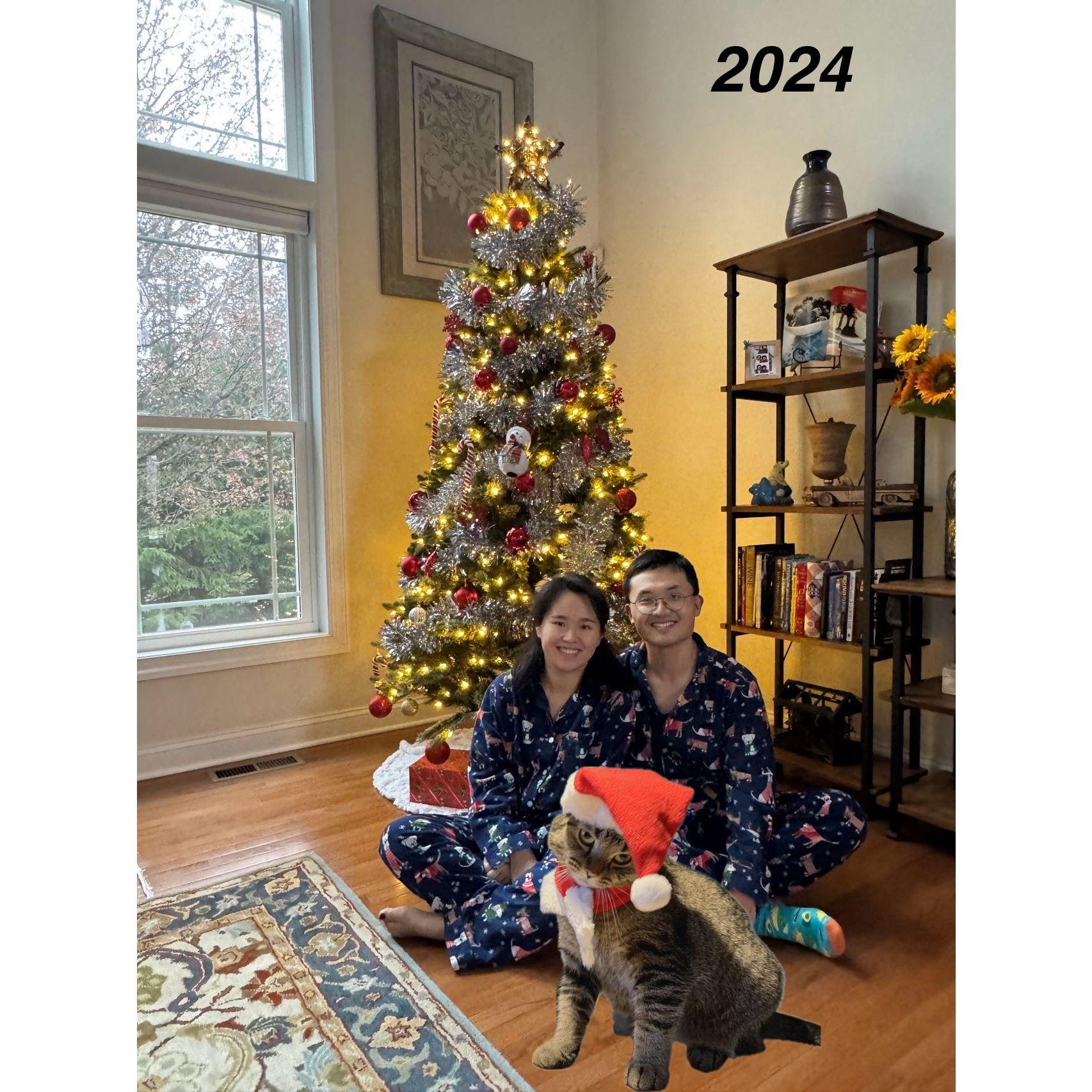 Christmas at home in Macedonia, OH