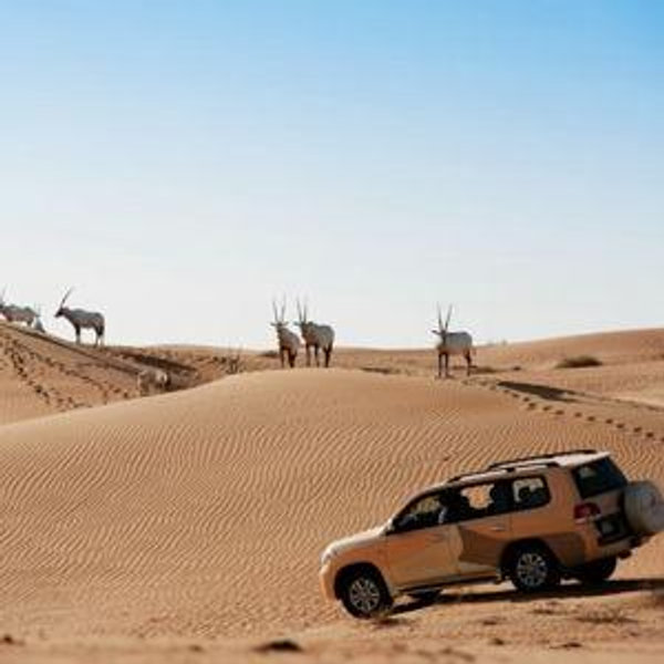 Honeymoon Dune Bashing Excursion