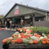 Donaldson Farms