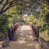 Lady Bird Lake
