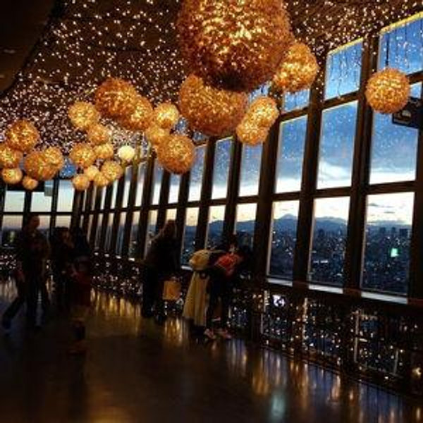 🗼 Tokyo Tower View