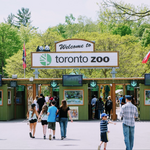 Toronto Zoo