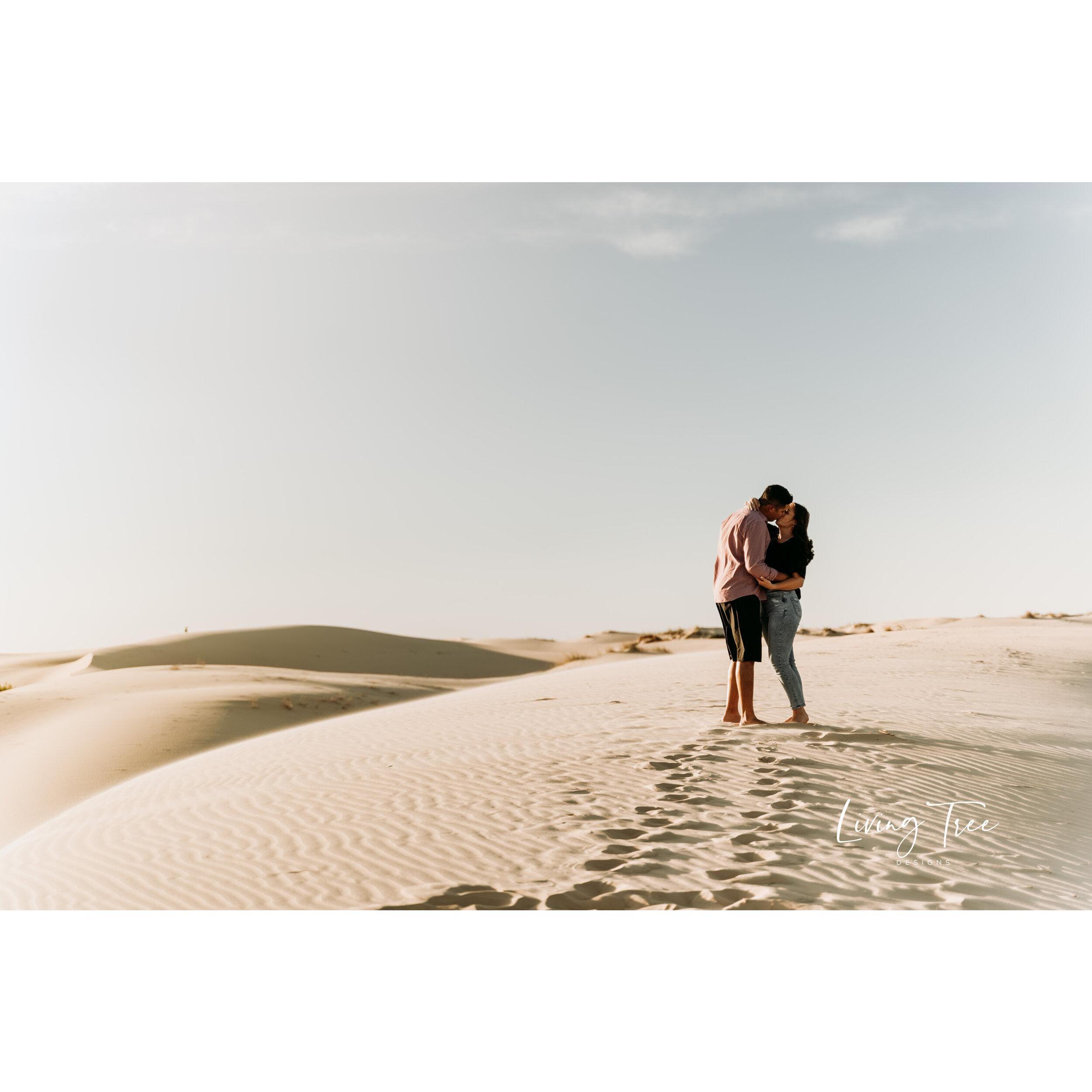 Living Tree Designs
Monahans Sandhills State Park