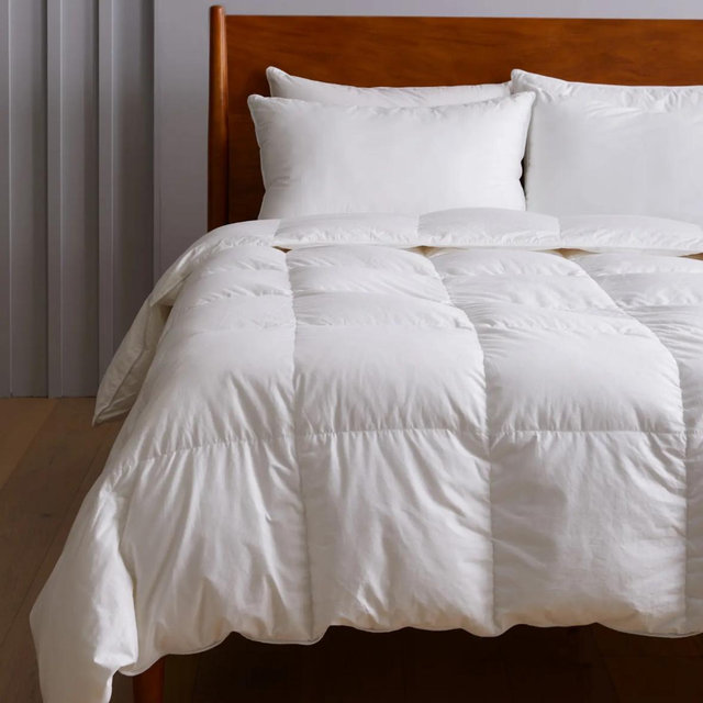 Premium Down Alternative Comforter - All-Season, White, King
