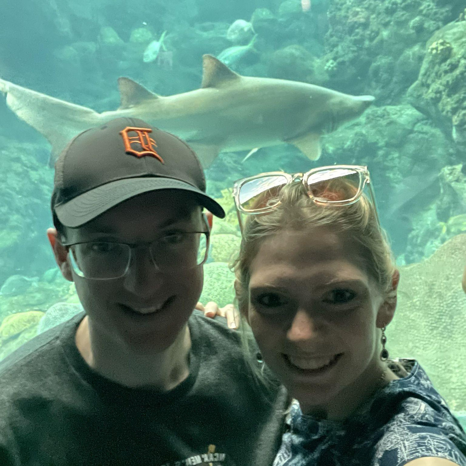 Aquarium in Tampa, Florida