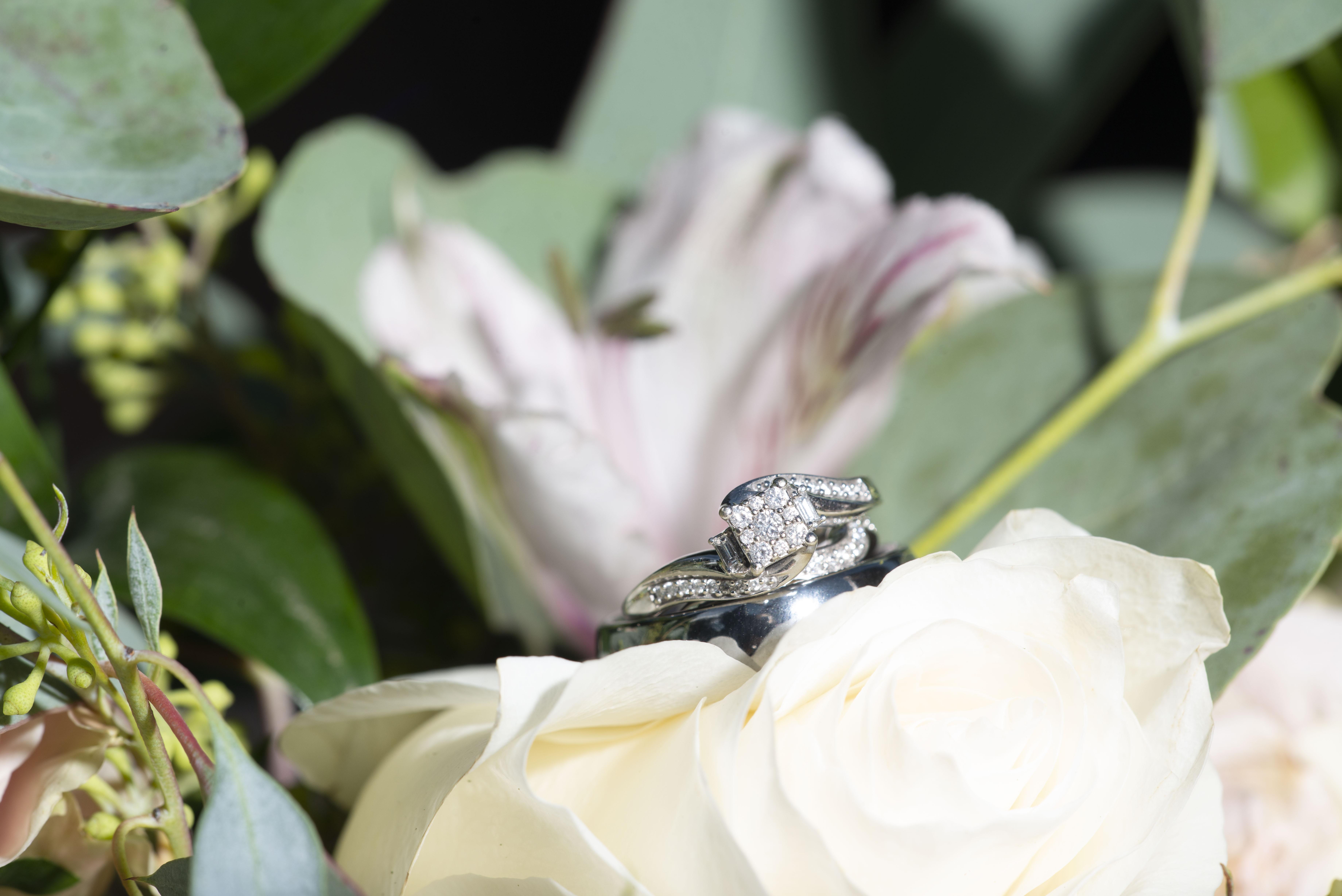 The Wedding Website of Emily Frey and CJ Mangrum