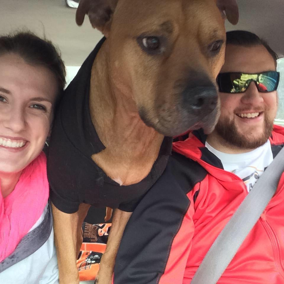The pittie locks to rock his hoodies and ride shotgun.