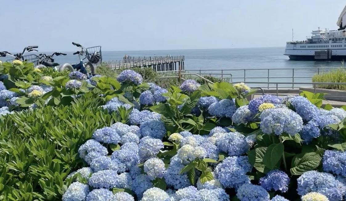 The Wedding Website of Nicole Caulfield and Jack Hoffman