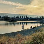 Los Gatos Creek Trail