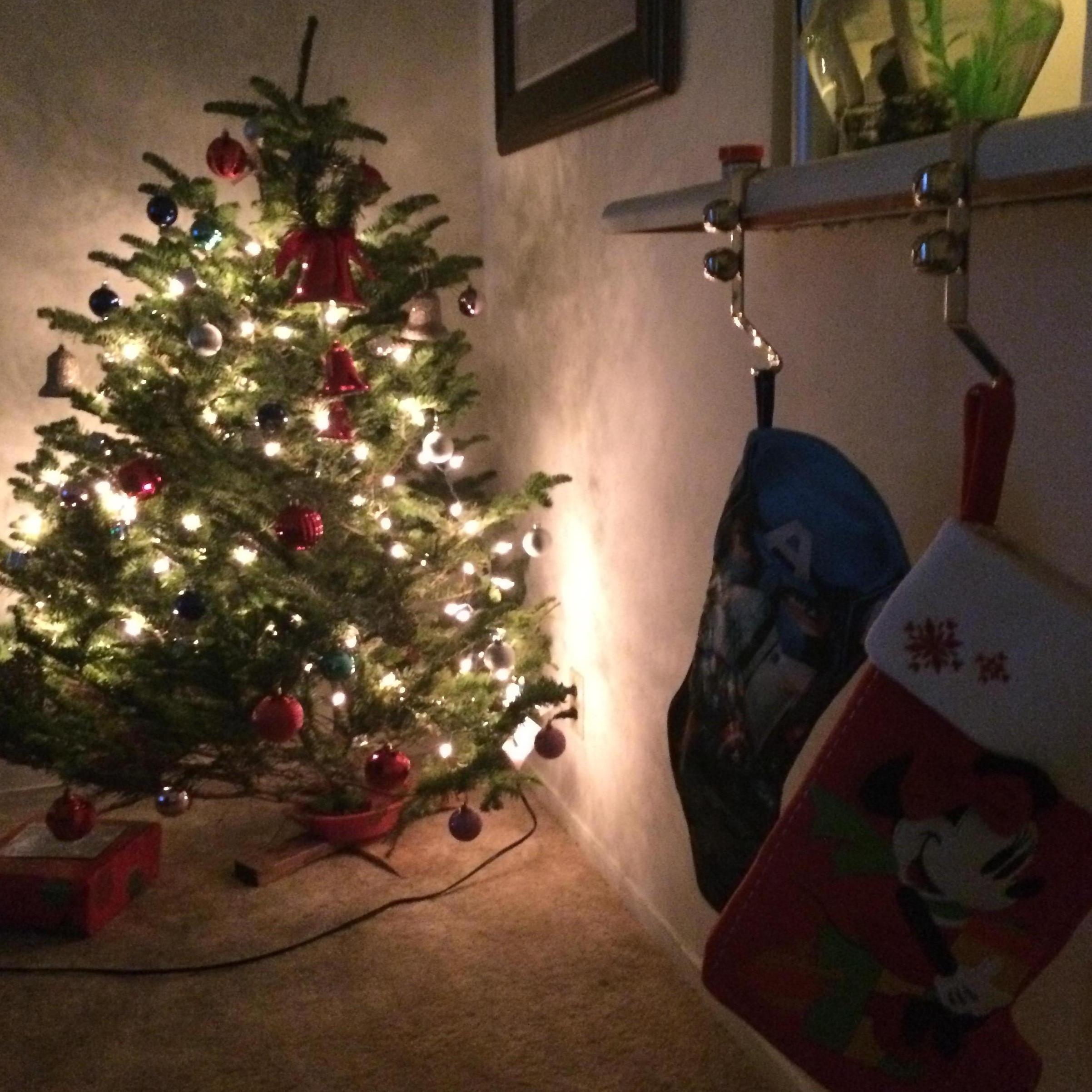 First Christmas