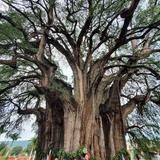 EXPLORE OAXACA