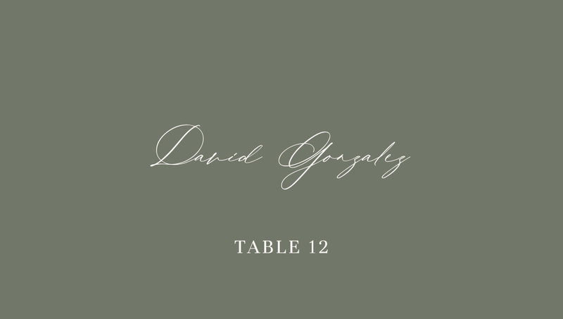 Lyra | Sage | Zola Wedding Place Cards