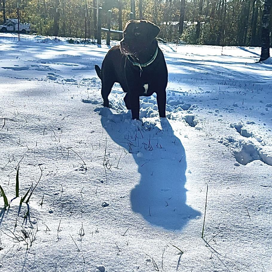 Cooper