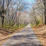 Swamp Rabbit Trail