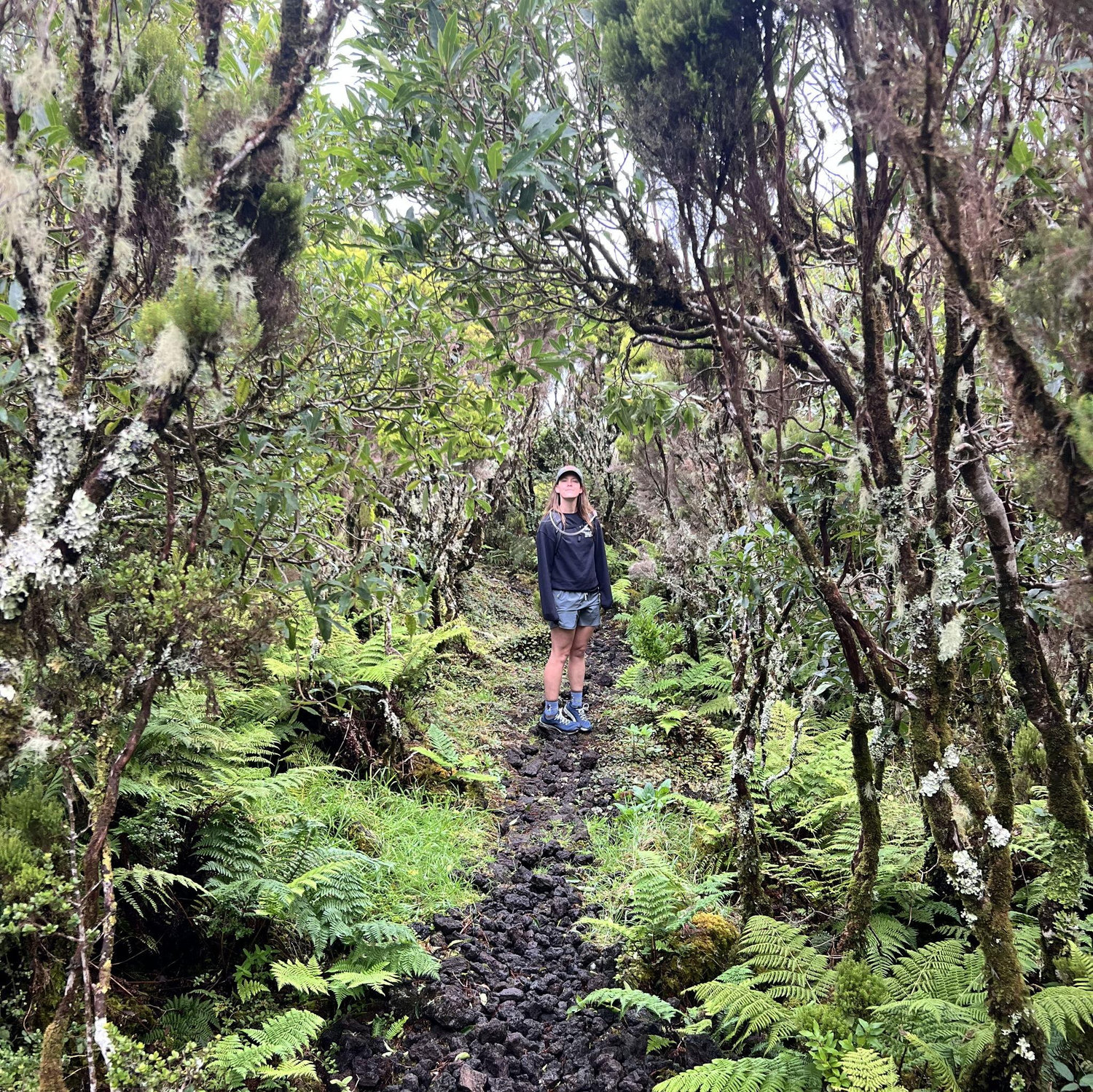 On a volcano in the middle of the Atlantic