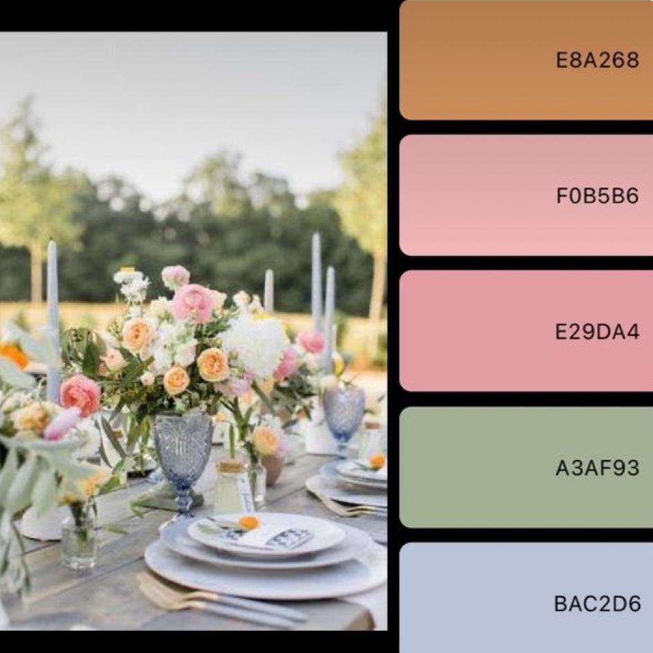 The color palette!