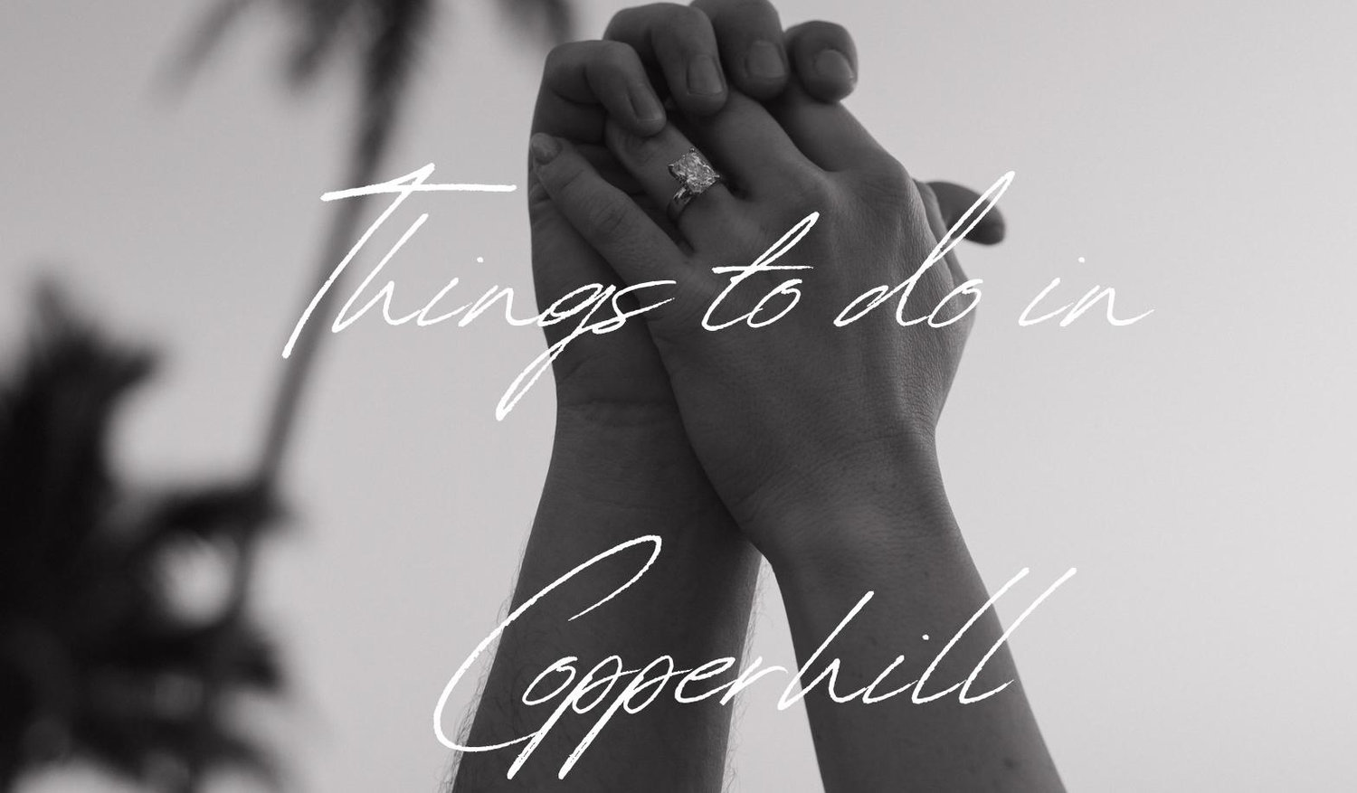 The Wedding Website of Emily Matejka and Tim Benjamin