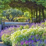 San Antonio Botanical Garden