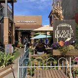 Beaver Bagel Co.