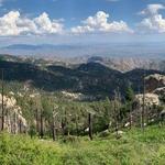 Mt. Lemmon
