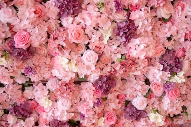 The Wedding Website of Kate Keller and Chris Collins