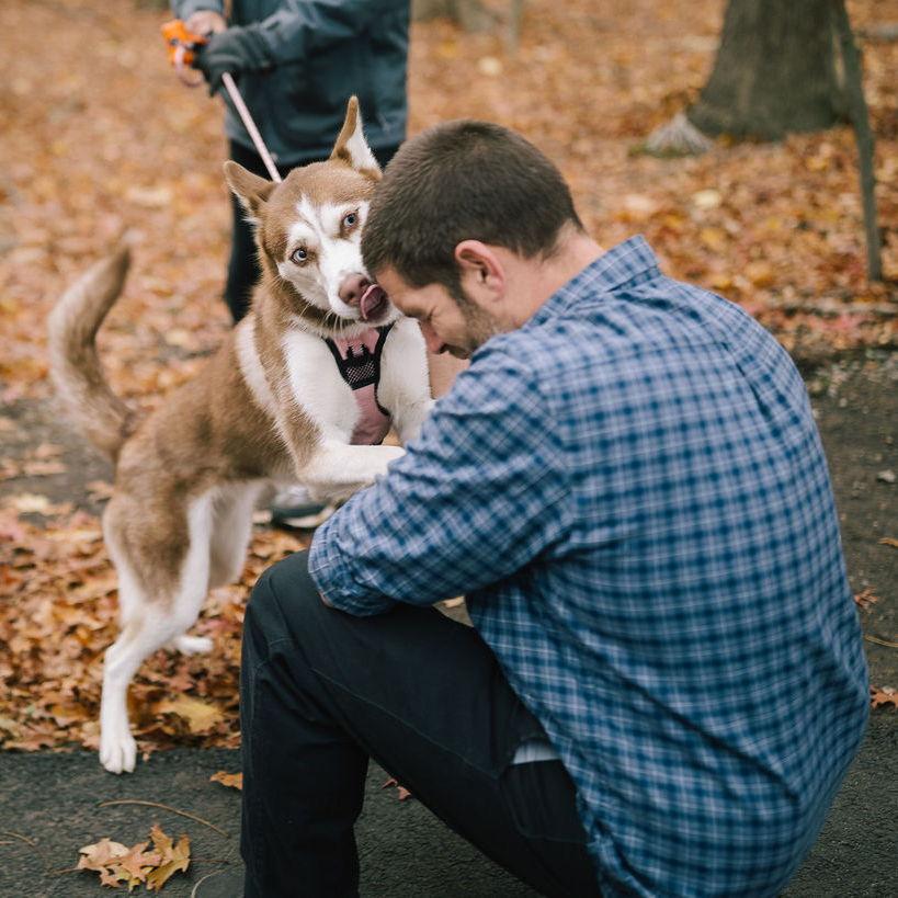 Kahlua, a husky we met during our photo shoot.