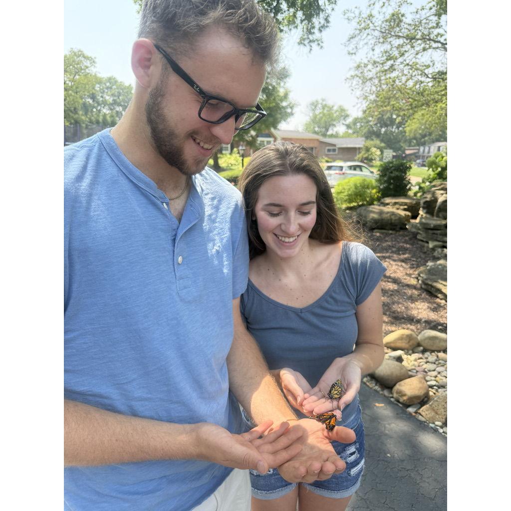 August 1, 2025. Hatching butterflies in St. Louis.