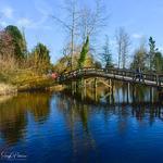 Mill Lake Park