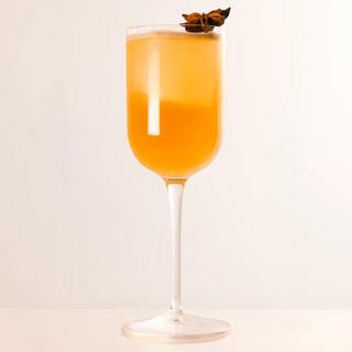 Jazz Negroni Cocktail Glass, Set of 4