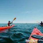 Go Kayaking or Paddle Boarding