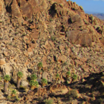 Hiking