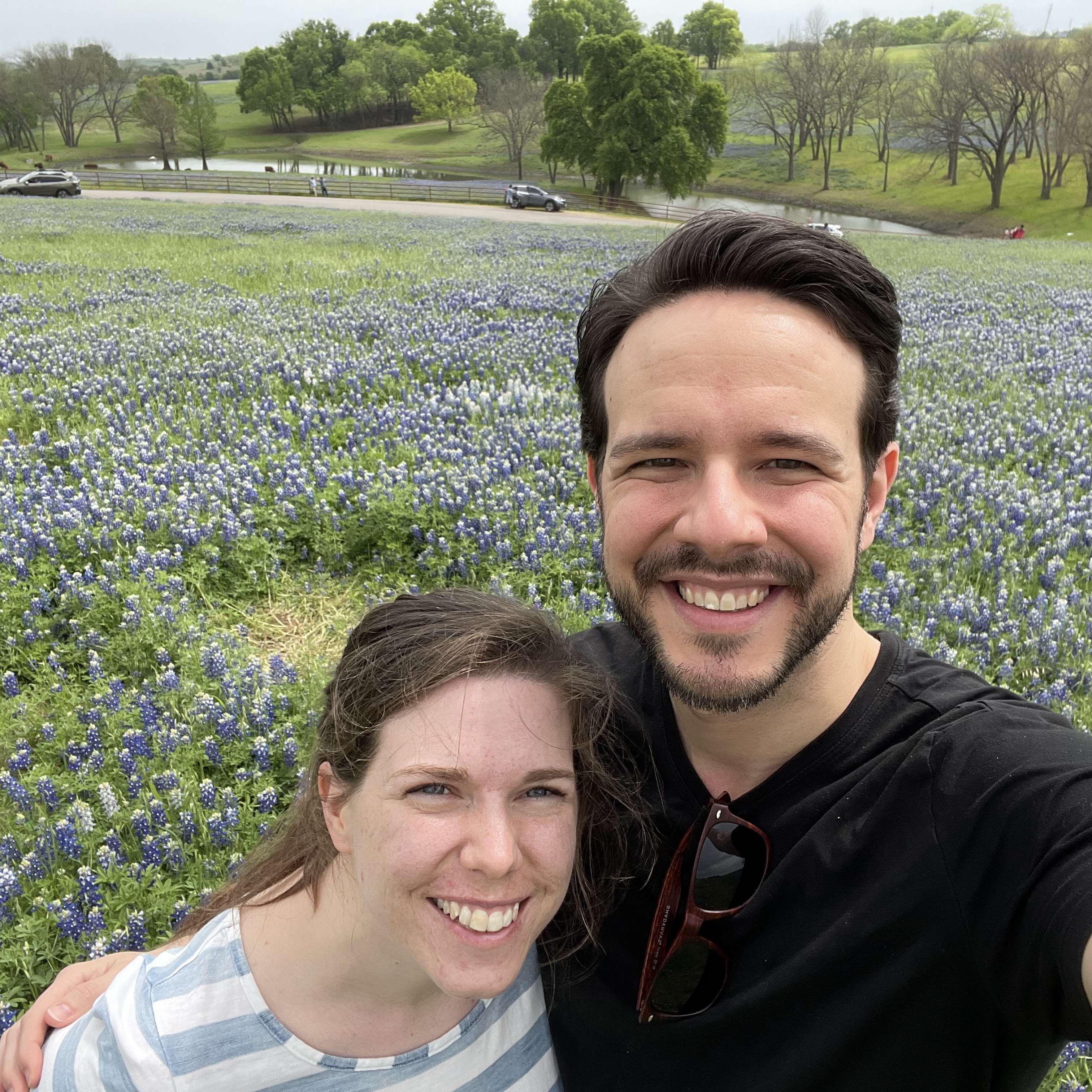 Bluebonnets in Ennis