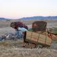 Lowdown Chair