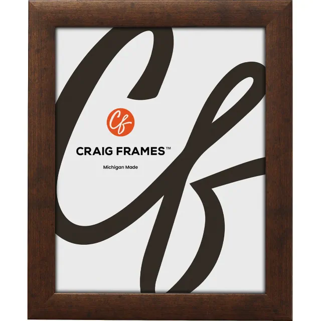 Craig Frames Contemporary 18x24 inch Rustic Copper Picture Frame