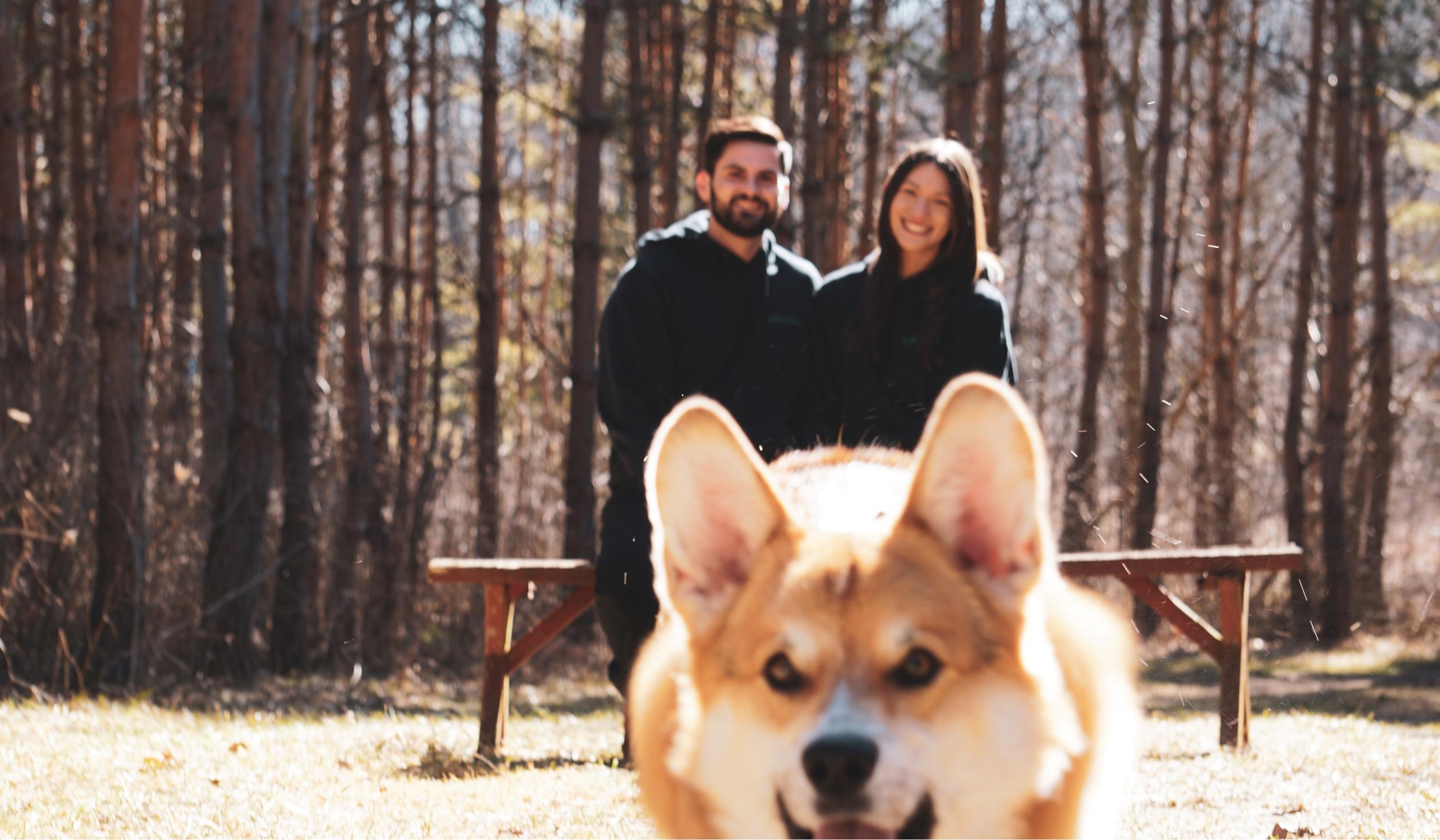 The Wedding Website of Liz Sucevic and Mark Caringello