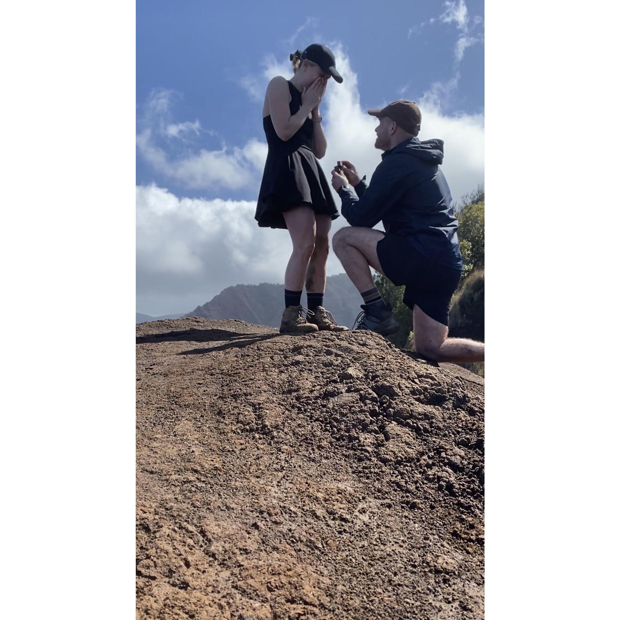 I think she said yes...