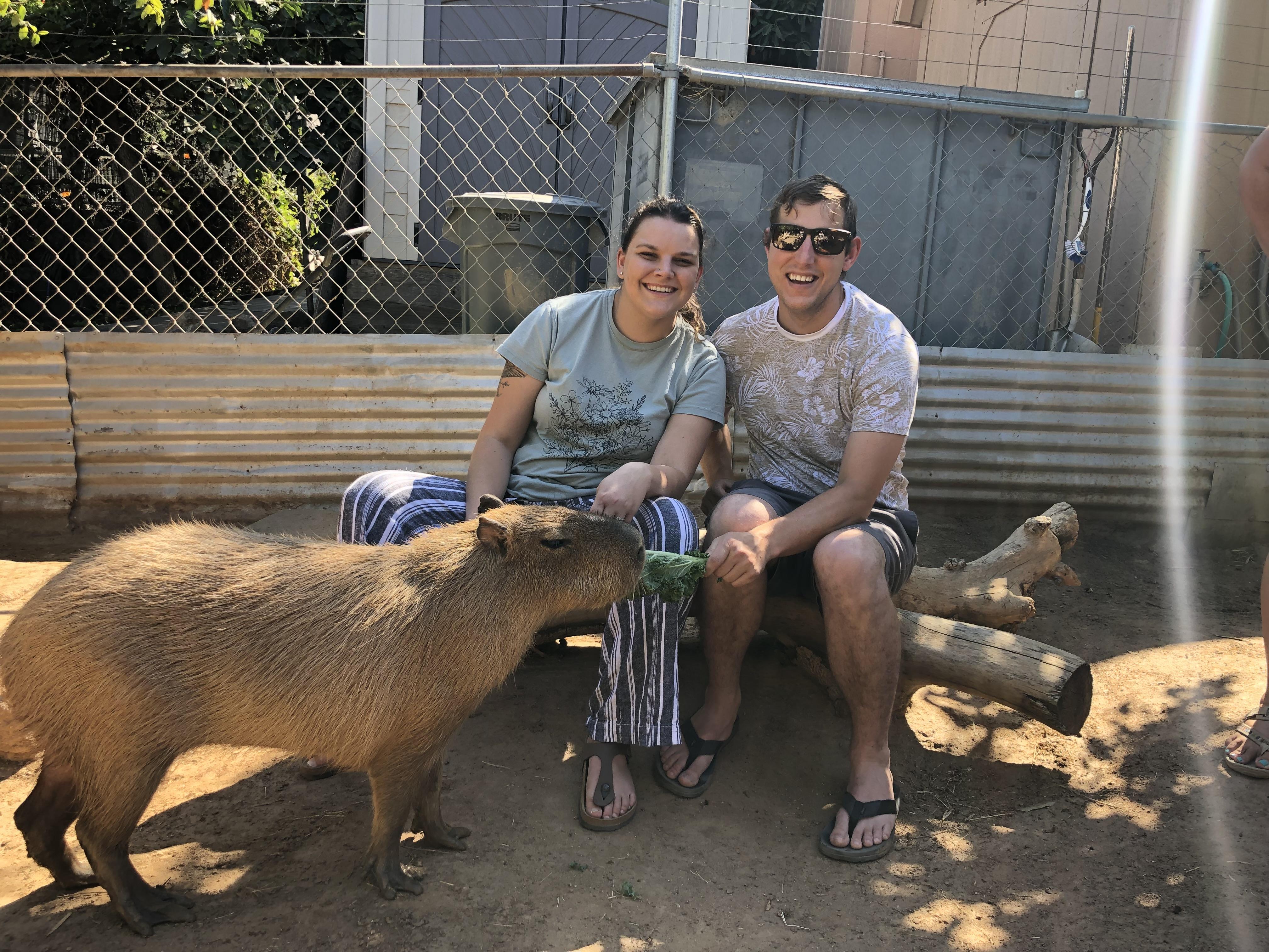 The Wedding Website of Hailey Holden and Andrew Sapp