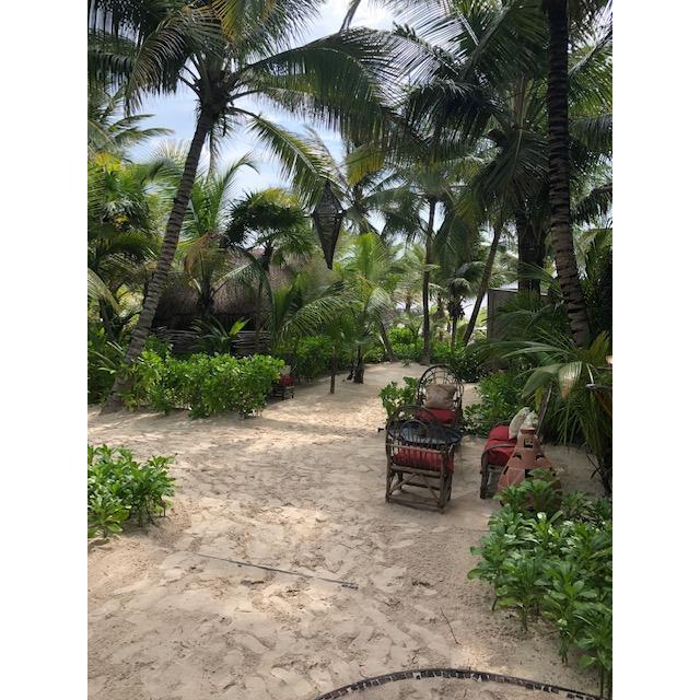 Our walk to the beach, tulum