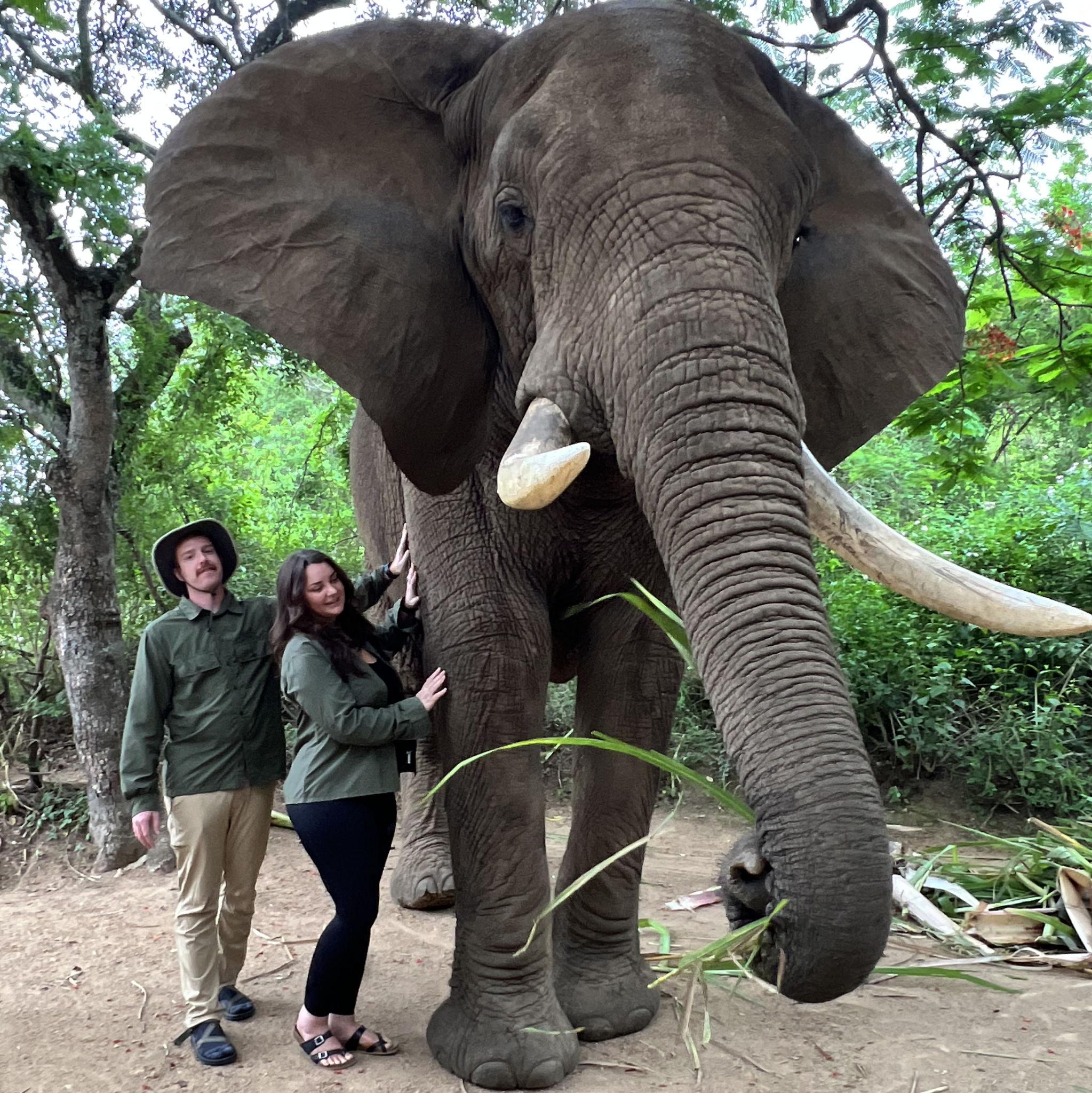 We traveled to South Africa! Gerard making one of my life long dreams come true of seeing elephants in the wild.