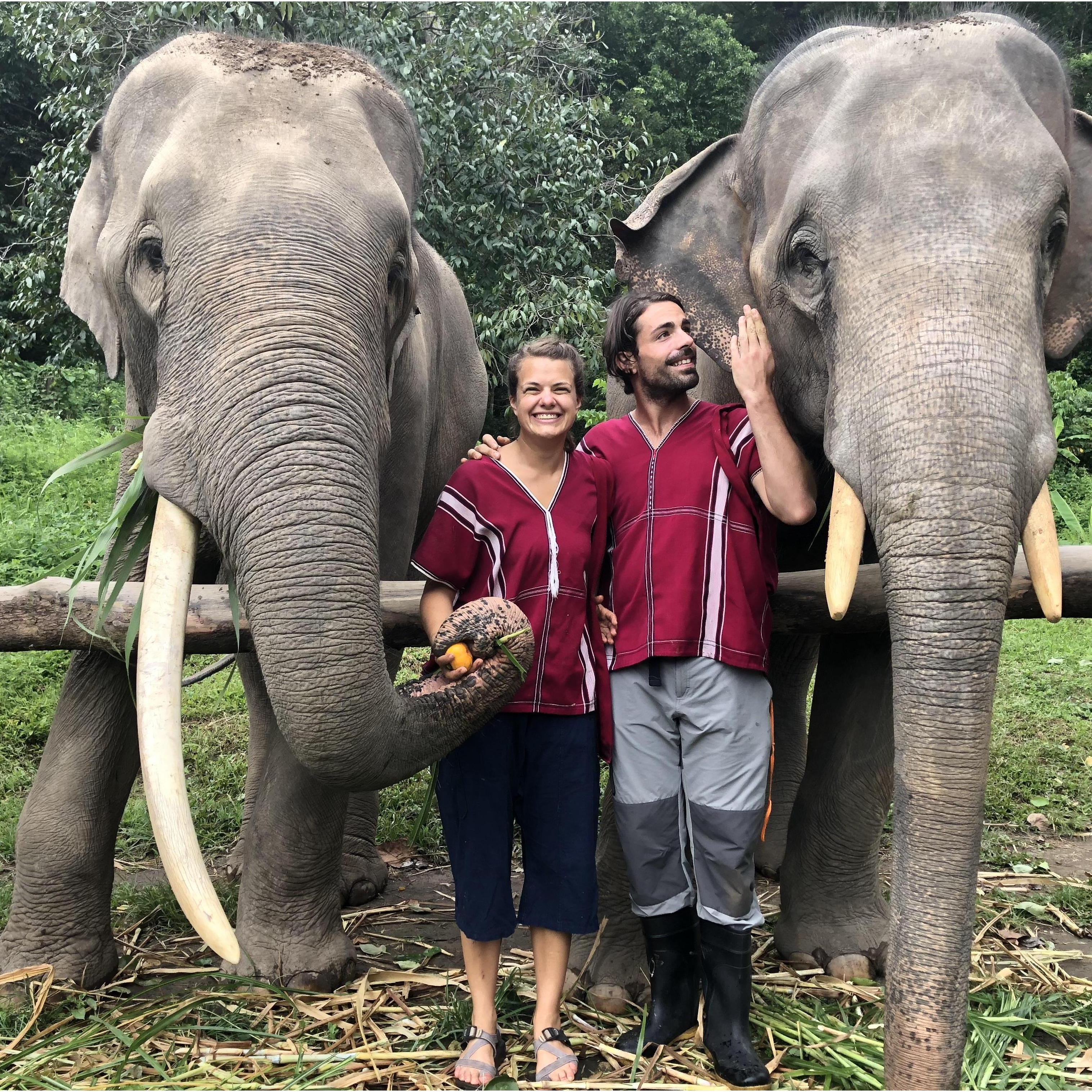 Karen Elephent Sactuary, Chiang Mai, Thailand (August 2018)