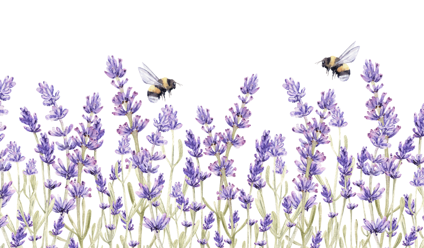 Footer image