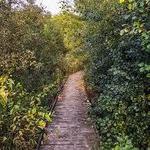 Ice Age National Scenic Trail (LaBudde Creek segment)