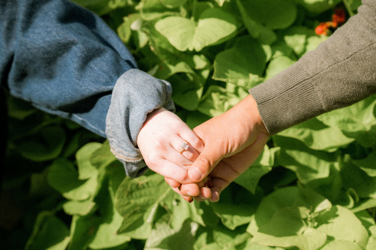 The Wedding Website of Ruth Ann Case and Seth Plascencia