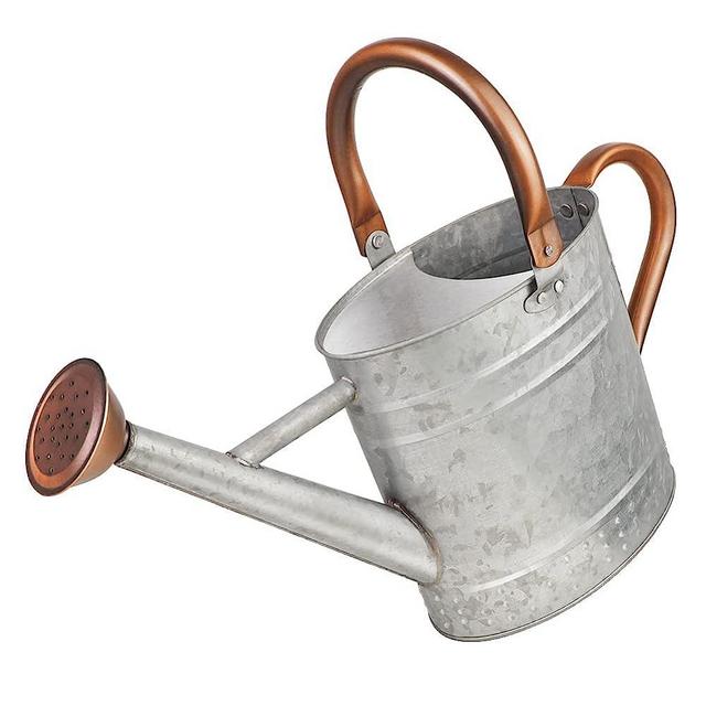 Megawodar 1 Gallon Metal Watering Can with Removable Spout, Nice Galvanized Steel Water Can with Embossed Design for Indoor and Outdoor Plants