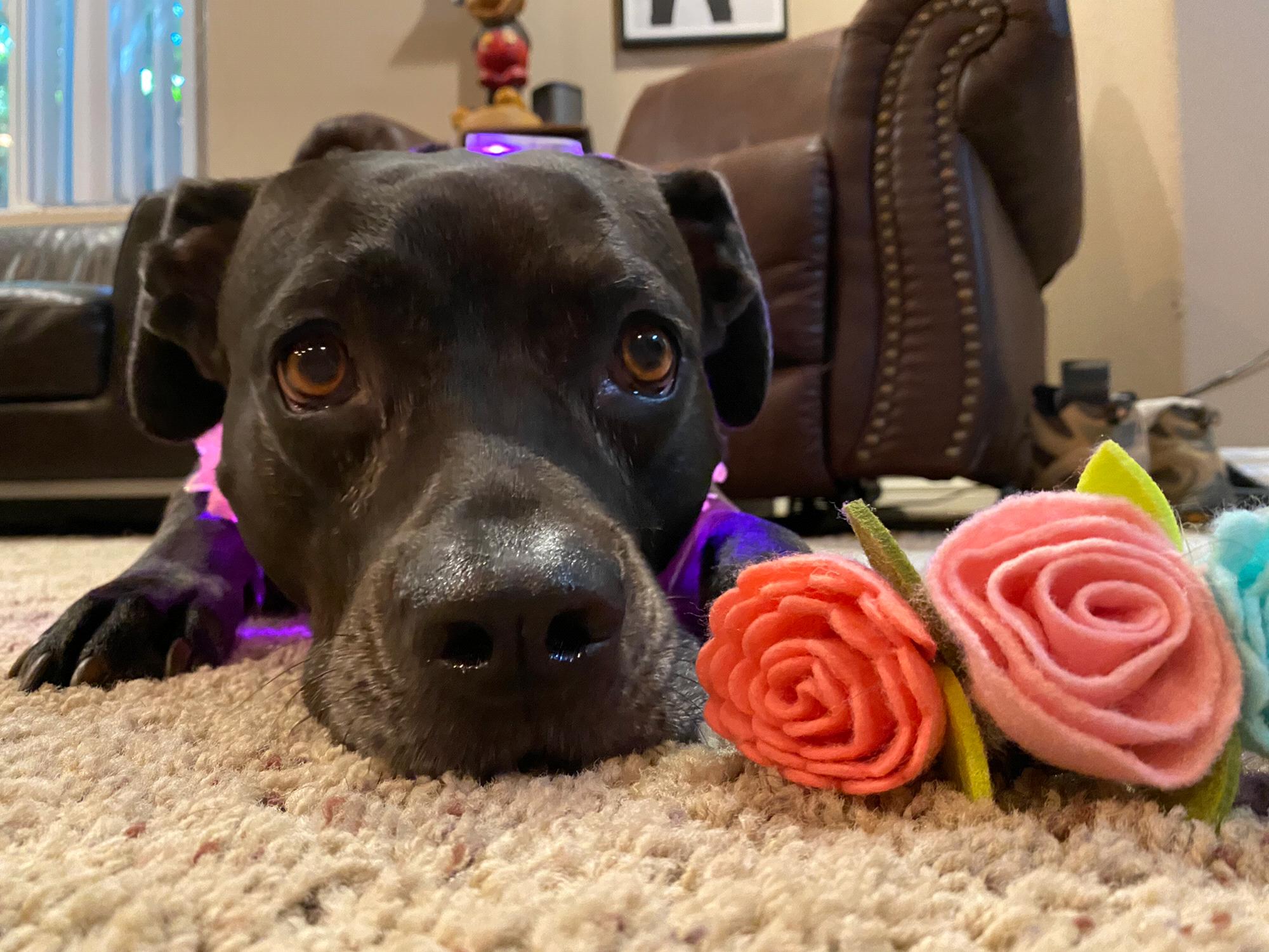 Our flower girl