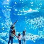 St. Louis Aquarium at Union Station