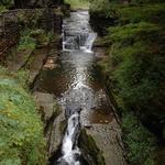 Robert H. Treman State Park