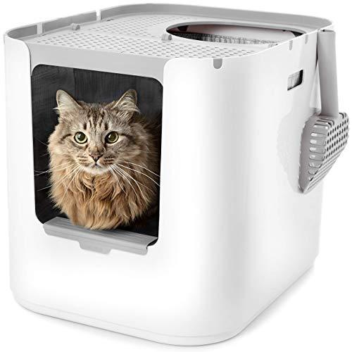 Modkat XL Litter Box, Top or Front-Entry Configurable, Includes Scoop and Liners