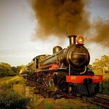 Steam Train - Royal Livingstone Express