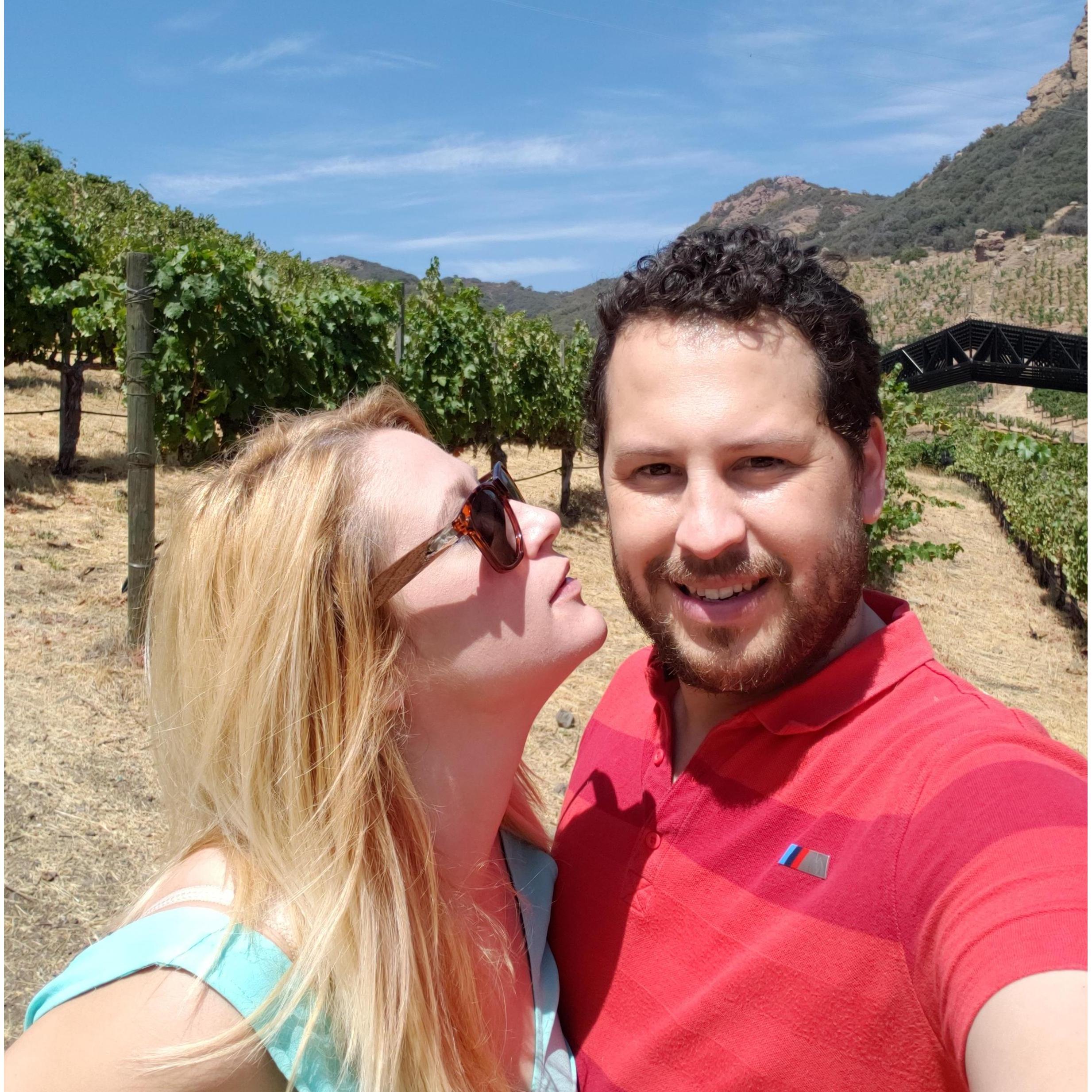 Malibu Wine Safaris